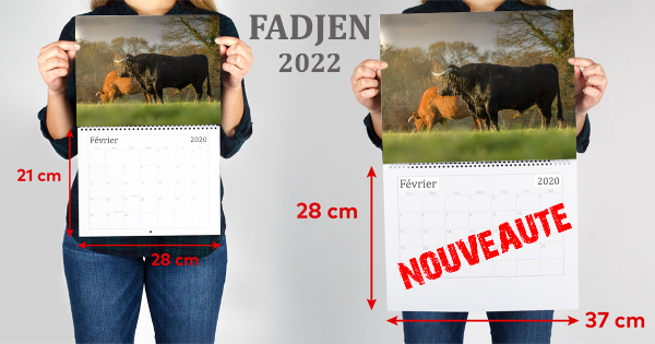 calendrier-2022-fadjen-vaches-taureaux-bovins-animaux-anti-corrida-anticorrida.jpg