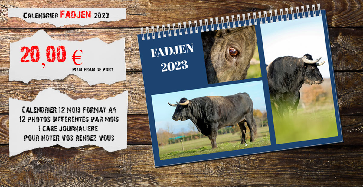 calendrier-2023-fadjen-vaches-taureaux-bovins-animaux-anti-corrida-anticorrida