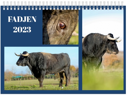 Calendrier vaches 2023 - association anti corrida Fadjen